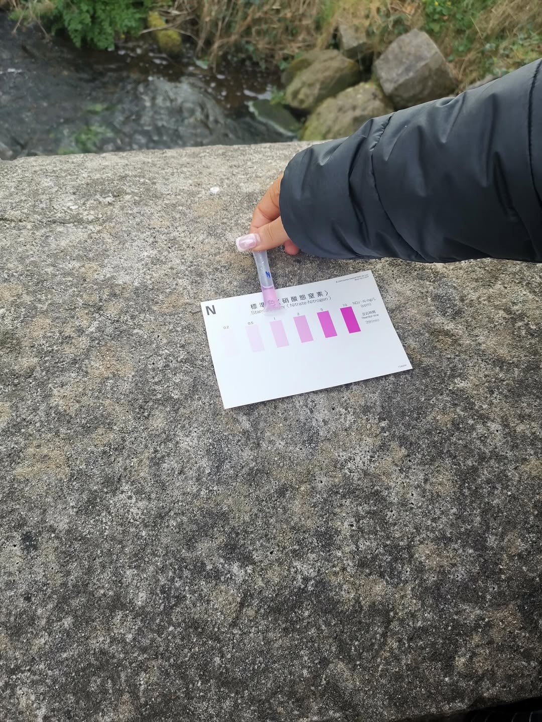 Nitrate testing sample card during river survey photo 2